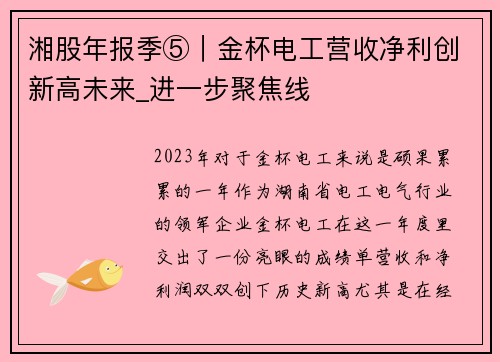 湘股年报季⑤｜金杯电工营收净利创新高未来_进一步聚焦线