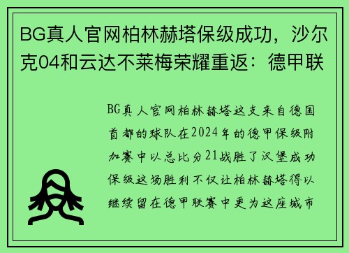 BG真人官网柏林赫塔保级成功，沙尔克04和云达不莱梅荣耀重返：德甲联赛的新篇章